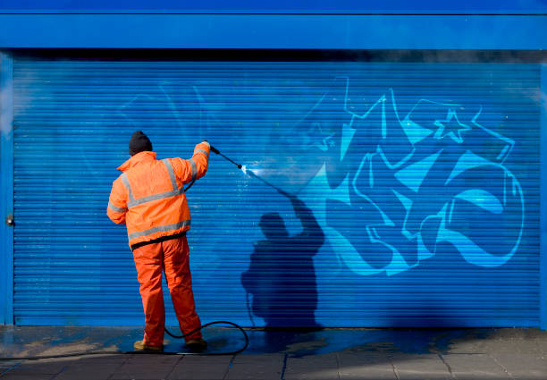 Best Garage Pressure Washing  in East Dubuque, IL